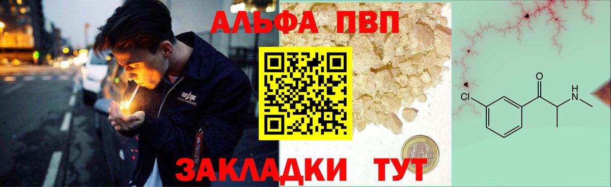 Альфа ПВП СК Грозный